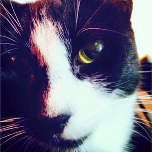 Meet your Posher, Jenny